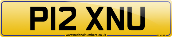 P12 XNU
