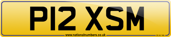 P12 XSM