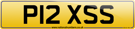 P12 XSS