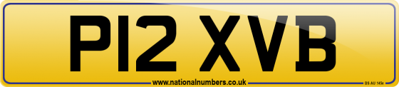 P12 XVB