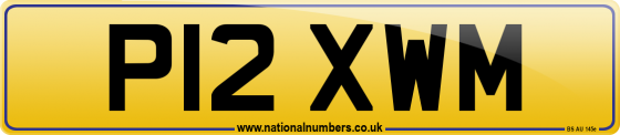 P12 XWM