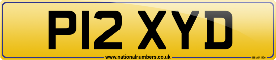 P12 XYD