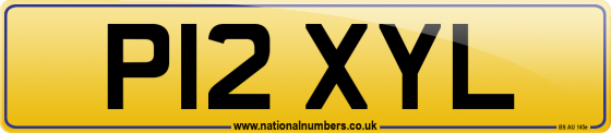 P12 XYL