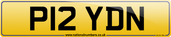 P12 YDN