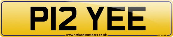 P12 YEE