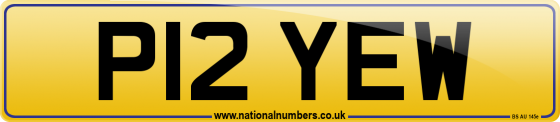 P12 YEW