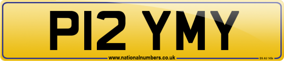 P12 YMY
