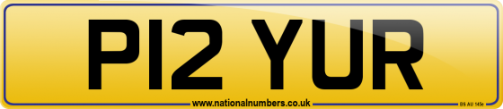 P12 YUR