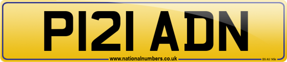 P121 ADN