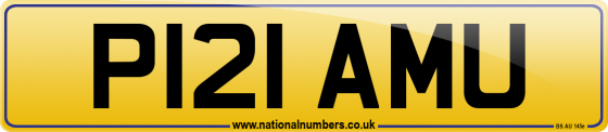 P121 AMU