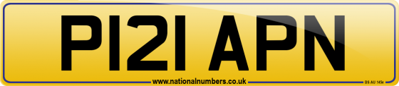 P121 APN