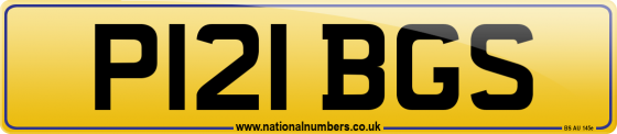 P121 BGS