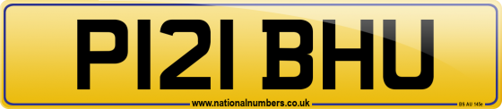 P121 BHU