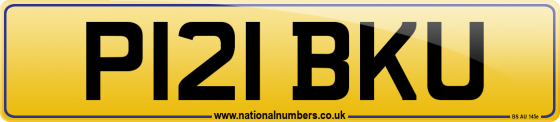 P121 BKU