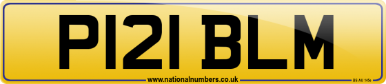 P121 BLM