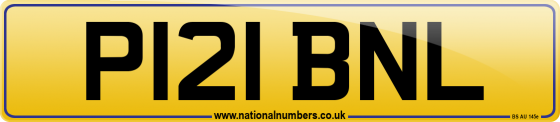 P121 BNL