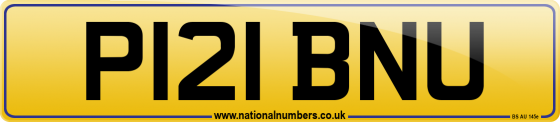 P121 BNU