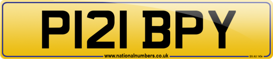 P121 BPY
