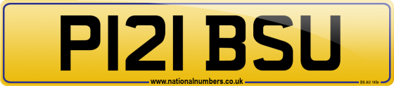 P121 BSU