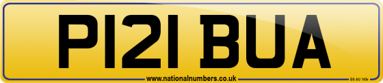 P121 BUA