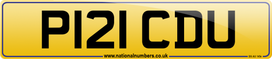 P121 CDU