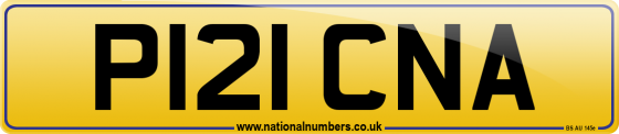 P121 CNA
