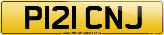 P121 CNJ
