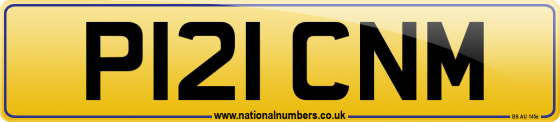 P121 CNM
