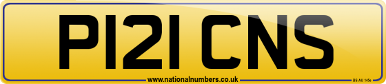 P121 CNS