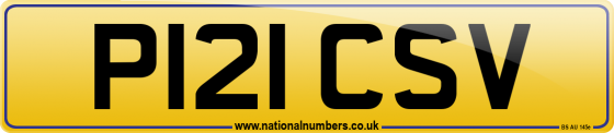 P121 CSV