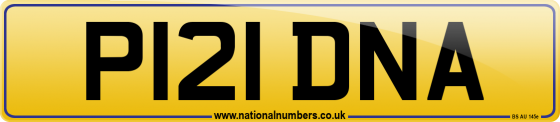 P121 DNA