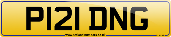 P121 DNG