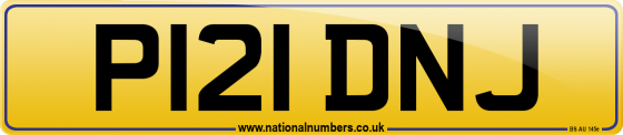 P121 DNJ