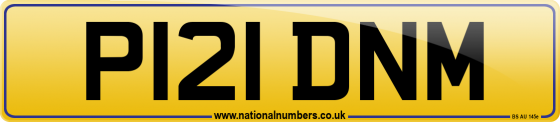 P121 DNM