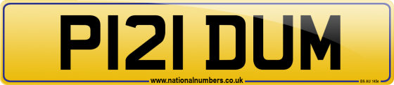 P121 DUM