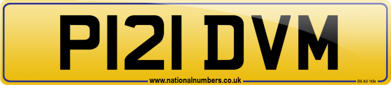 P121 DVM