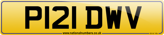 P121 DWV