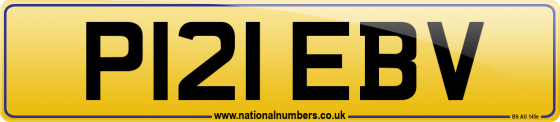 P121 EBV