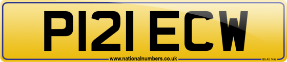 P121 ECW