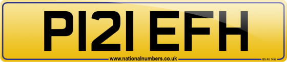 P121 EFH