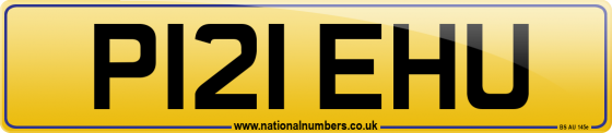 P121 EHU