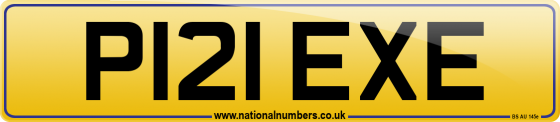 P121 EXE