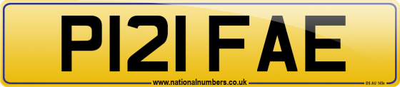 P121 FAE