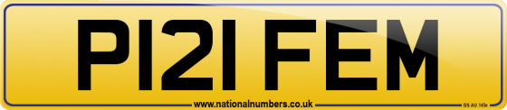 P121 FEM