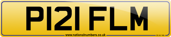 P121 FLM