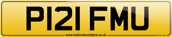 P121 FMU