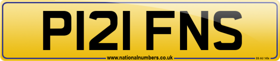 P121 FNS