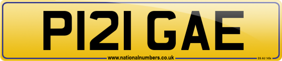 P121 GAE