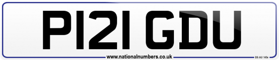 P121 GDU