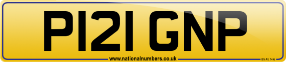 P121 GNP